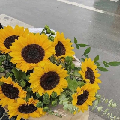 不快樂(lè)的小丸子